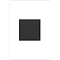Image of H4-RPTR20GG2