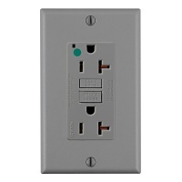 Image of LV-GFNT2HGG