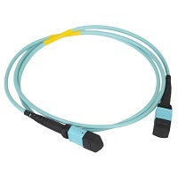 Image of H2-FOJARQ05