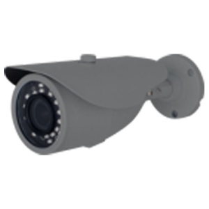 W Box 1 Megapixel Surveillance Camera - 1 Pack - Bullet