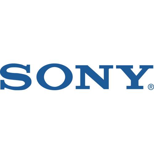 Sony Pro SRGX400N/4K Video Conference Camera