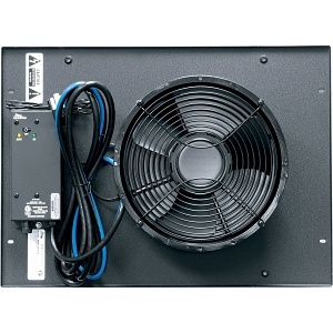 Image of NO-ERK10FTFC