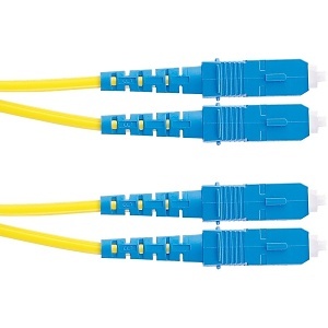 Image of P9-SSMF100