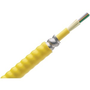 image of p9-foppx06y