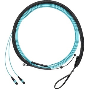 image of p9-nqssf021
