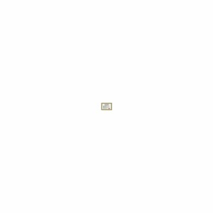 image of 2g-1rcapdigi
