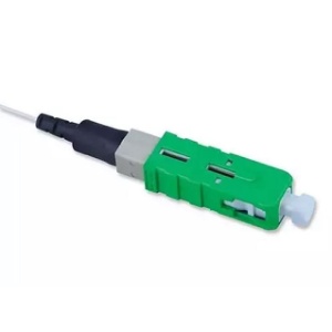 image of 02-fastscsmu