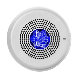 image of wh-elmtswcnb;image of wh-elmtswcnb;image of wh-elmtswcnb