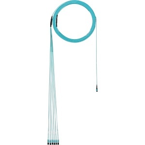 image of p9-el2saf056