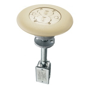 image of 40-t7igfsdia