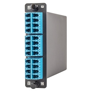 image of 40-oclcqsmh4