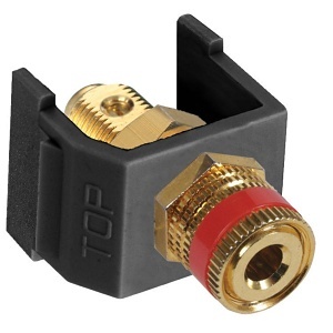 image of 40-sfspgrbk