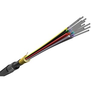 image of hk-61579006j