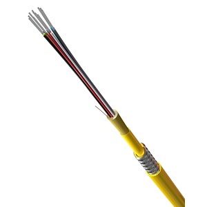 image of hk-61897012