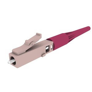 image of or-kf9gd50ea