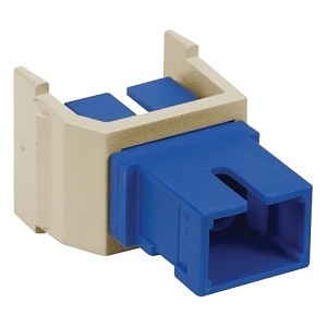 image of 40-sfscsorei