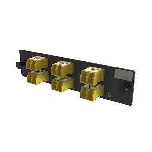 image of or-plcd12y22