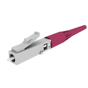 image of or-kf9gd50eb