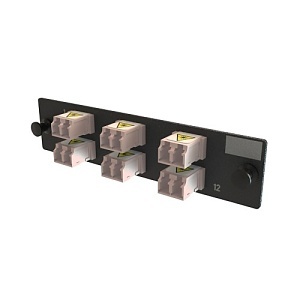 image of or-plcd12y02