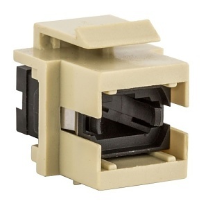 image of 40-ffmtpbkei