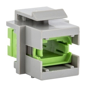 image of 40-sffmtpgng