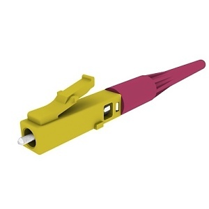 image of or-kf9gd50ec