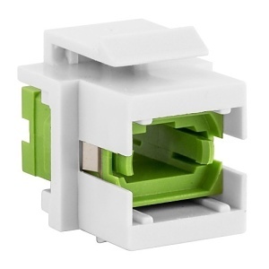 image of 40-sffmtpgnw