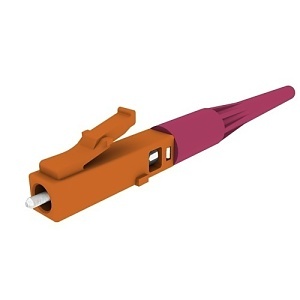 image of or-kf9gd50ee