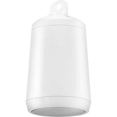 Electro-Voice Evid P2.1 Pendant Mount Speaker - White