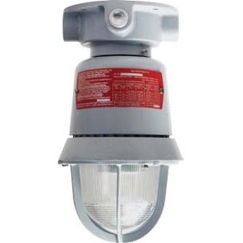 Edwards Signaling 116 Class LED Beacon