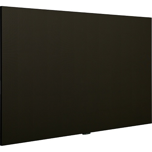 Image of CE-LAEC018