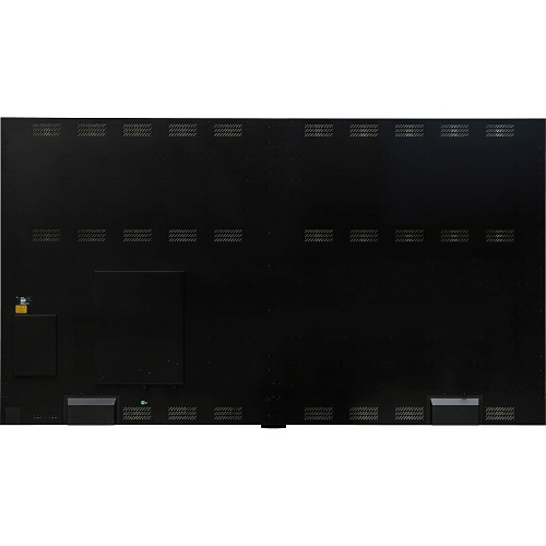 Image of CE-LAEC018