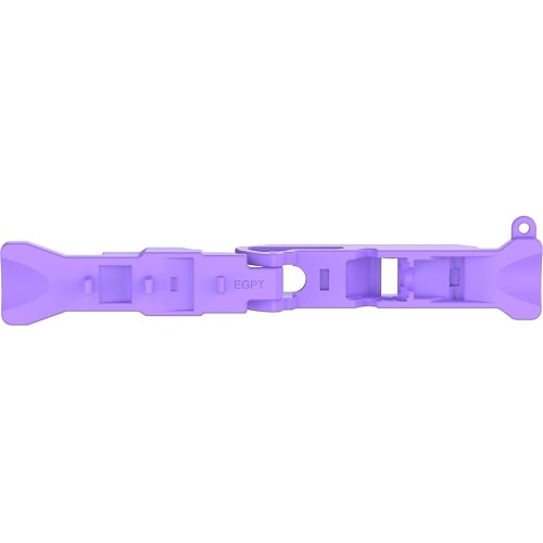 Image of P9-EGPT
