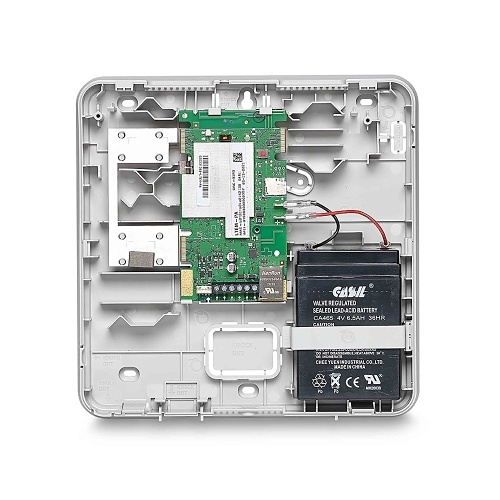 Image of LTEM-PIA