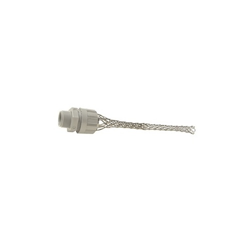 Image of H4-CGN100625