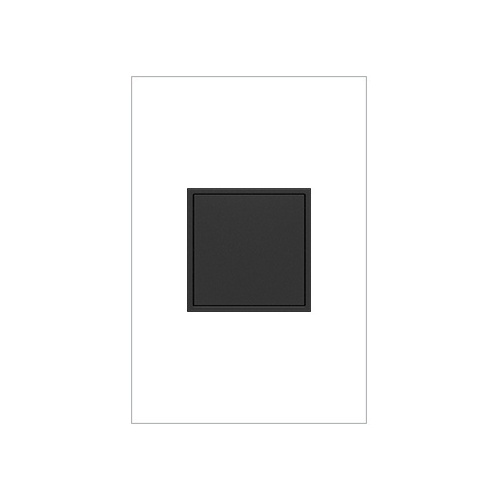 Image of H4-RPTR20GG2