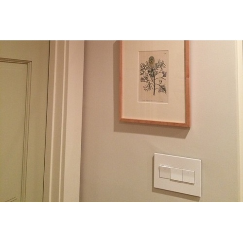 Image of H4-D542W277