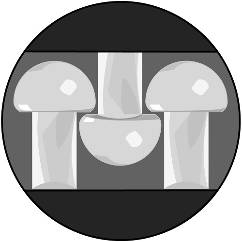 Image of 59-SJ3560