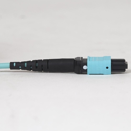 Image of H2-FOJARG05