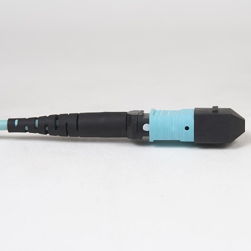 Image of H2-FOJARG05