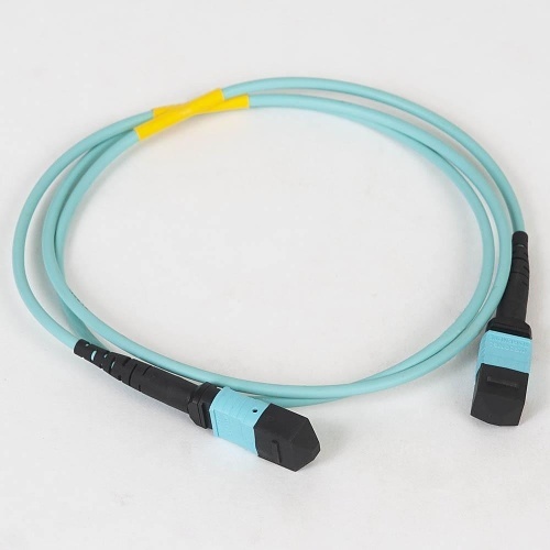 Image of H2-FOJARG15