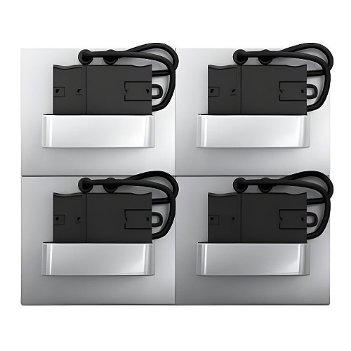 Image of 2G-RS1MBGVM1